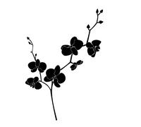 Orchid Reusable Stencil A3 A4 A5 & Bigger Sizes Shabby Chic Modern Style / F34 (PVC Reusable Stencil, A3 Size - 297 x 420 mm, 11.7 x 16.5 in)