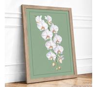 Orchid Study Botanical Framed Wall Art Print A1 (84.1×59.4cm) Oak, Wall Decor for Living Room, Bedroom, Office & Home, Ready to Hang, Art Gift