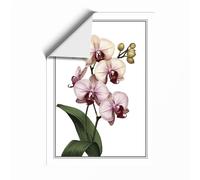 Orchid Study Botanical Unframed Wall Art Print A1 (84.1×59.4cm), Wall Decor for Living Room, Bedroom, Office & Home, Art Gift