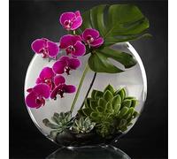 Orchid Succulent Plants Diamond Painting Kits for Adults,5D Round Drill 30x30cm Diamond Art Painting Kit,DIY Embroidery Cross Stitch Full Painting by Numbers Diamond Dot Art for Home Wall Decor Gifts