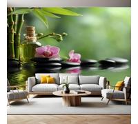 Orchid Wall Mural 250 x 180 cm Green Bamboo Black Stone Non-Woven Art Print Wallpaper Mural for Walls Living Room Bedroom TV Background Boys Girls Kids Rooms Decoration