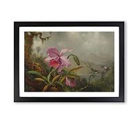 Orchid with Hummingbirds Vol.1 by Martin Johnson Heade Framed Print | A2 Black Framed Wall Art | Ready to Hang | Modern Floral Picture | Living Room Bedroom Lounge Office