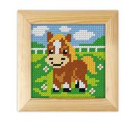 Orchidea Pony Needlepoint Kit