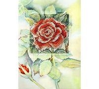 Orchidea Rose Card Cross Stitch Kit