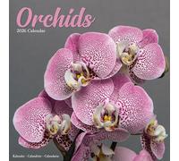 Orchids 2026 Calendar | Square Wall Calendar | Flower Gift | Plastic Free Packaging | by Avonside Publishing