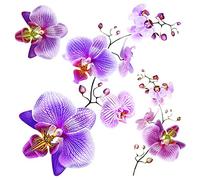 Orchids, a Set of self-Adhesive Stickers for Decorating Small Fragments of Walls, Furniture, Accessories, Packing 30x30 cm/12x12 inches SS 3859