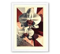 Orchids and Geometry Botanical Framed Wall Art Print A1 (84.1×59.4cm) White, Wall Decor for Living Room, Bedroom, Office & Home, Ready to Hang, Art Gift
