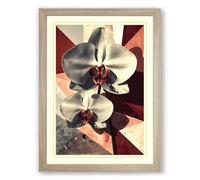 Orchids and Geometry Botanical Framed Wall Art Print A2 (59.4×42cm) Oak, Wall Decor for Living Room, Bedroom, Office & Home, Ready to Hang, Art Gift