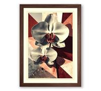 Orchids and Geometry Botanical Framed Wall Art Print A3 (42×29.7cm) Walnut, Wall Decor for Living Room, Bedroom, Office & Home, Ready to Hang, Art Gift
