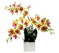 Orchids Artificial Flowers 19.7in 18Petals Faux Orchid with Pot,Green | Three-pronged, 18Petals,Phalaenopsis Orchid, White Plastic Square Pot, 3D Printed Fake Orchids, Home Living Room Decoration