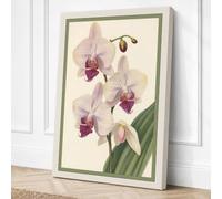 Orchids in Bloom Botanical Canvas Wall Art Print 30x20 Inch (76 x 51 cm)