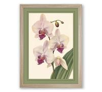 Orchids in Bloom Botanical Framed Wall Art Print A1 (84.1×59.4cm) Oak, Wall Decor for Living Room, Bedroom, Office & Home, Ready to Hang, Art Gift