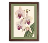 Orchids in Bloom Botanical Framed Wall Art Print A2 (59.4×42cm) Walnut, Wall Decor for Living Room, Bedroom, Office & Home, Ready to Hang, Art Gift
