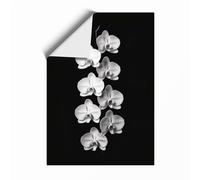 Orchids in Shadow Botanical Unframed Wall Art Print A3 (42×29.7cm), Wall Decor for Living Room, Bedroom, Office & Home, Art Gift