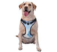 Orchids Natural Flowers,Pet Harness,Adjustable Reflective Dog Harness,Pet Leash Vest,L