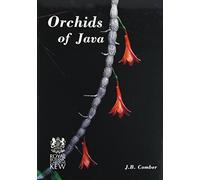 Orchids of Java