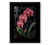 Orchids on Trellis Botanical Framed Wall Art Print A1 (84.1×59.4cm) Black, Wall Decor for Living Room, Bedroom, Office & Home, Ready to Hang, Art Gift