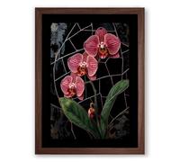 Orchids on Trellis Botanical Framed Wall Art Print A1 (84.1×59.4cm) Walnut, Wall Decor for Living Room, Bedroom, Office & Home, Ready to Hang, Art Gift