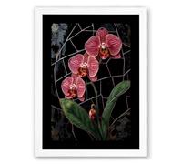 Orchids on Trellis Botanical Framed Wall Art Print A3 (42×29.7cm) White, Wall Decor for Living Room, Bedroom, Office & Home, Ready to Hang, Art Gift