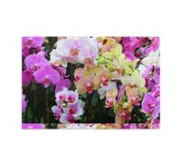 Orchids Print, 1000 Pieces Jigsaw Puzzles, Wooden Jigsaw Family Game Wall Decor for Adults Teens