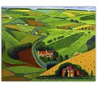 ORCOW David Hockney Poster And Prints Path Across Wals Canvas Painting Living Room Aesthetic Wall Art Home Decor Picture 40X60 Unframed