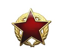 Order of the Partisan Star Russian pin military decoration replica