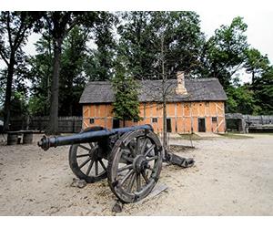 Ordinary Lives in Revolutionary Times