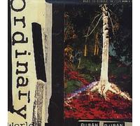 Ordinary World by Duran Duran (1993-01-26)