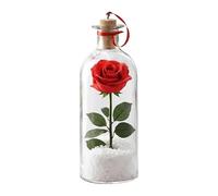 ordinarYone Voice Bottle with Playback Cork Ornament Rose Messages in a Bottle,Romantics for Valentines Anniversary