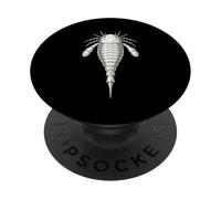 Ordovician Eurypterid Fossil - Ancient Sea Scorpion PopSockets Adhesive PopGrip
