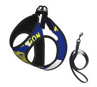 Oregon State Flag Map Print Dog Harness Small Sized And Leash Set, Step In Soft Light Puppy Vest Breathable Mesh Pet Harness