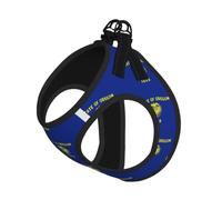 Oregon State Flag Pet Leash Vest For Small Dogs Cats Reflective Adjustable Soft Outdoor Walking Hiking Training