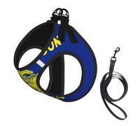 Oregon State Flag Print Pet Leash Vest,For Small Dogs,Adjustable And Comfortable Cat Puppy Essentials