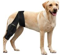 Oreilet Dog Knee Braces for Back Leg, Adjustable Dogs Brace Hind Leg Support Wrap Harness for Recovery, Rear Support for Joint Pain Relief, Anti Licking (M)