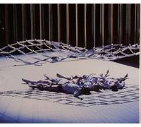 Oren Ambarchi and Robin Fox - Connected