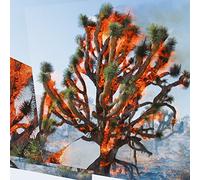 Oren Ambarchi, Kassel Jaeger, James Rushford - Face Time [VINYL]