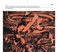 Oren Ambarchi & Martin Ng - The Vanishing [VINYL]