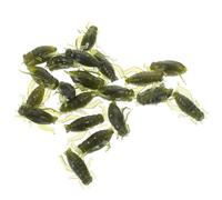 ORFOFE 100pcs Soft Artificial Cricket Fishing Baits Realistic Lifelike Simulation Lures for Freshwater Lake Fishing with Unique Colors and Textures to Attract Bass Trout