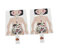 ORFOFE 2 Sets DIY Human Digestive System Model Kits Educational Science Craft for Learning Biological Processes Critical Thinking Development