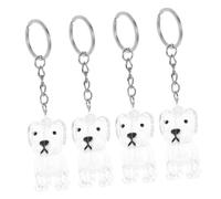 ORFOFE 4Pcs Transparent Pet Hair Keepsake Bottles Keychain Compact Memorial Capsule Storage Container Portable for Preservation Gift for Pet Owners