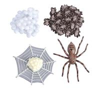 ORFOFE Animal Evolution Model Realistic Spider Life Cycle Educational for Preschool Science Learning Party Decorations