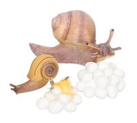 ORFOFE Animal Growth Cycle Models Educational for Preschool Learning Realistic Snail and Chicken Life Stages Montessori Science Prop for Early Cognitive Development and Imagination