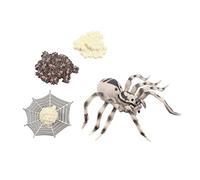ORFOFE Educational Animal Evolution Model for Insect Growth Cycle Simulation Realistic Spider and Bug Figurines Science Learning Party Decorations for Boys