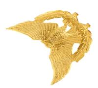 ORFOFE Elegant Metal Eagle Lapel Pin Badge for Security Uniforms Precise Craftsmanship with Distinctive Design Authority Symbol Accessory for DIY Clothing Decoration