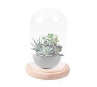 ORFOFE Glass Cloche Dome Display Case with Wooden Base Glass Bell Jar for Preserved Flowers Anti-Slip Bottom 10x16cm for Gifting and Micro Landscape