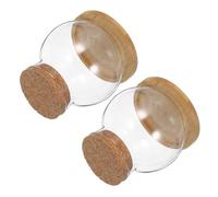 ORFOFE Glass Plant Terrarium Jar: Tabletop Succulent Planter - Cute Fish Bowls With Cork Top Bamboo Tray Clear Vase Hydroponic Plants Bottles Vial Canister For Office Car
