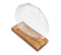 ORFOFE Glass Planter and Propagation Vase Wooden Base for Hydroponic Indoor Plants, Terrarium Container Suitable for Desktop and Home Garden Decoration, Vintage Style