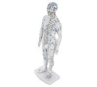 ORFOFE Human Body Acupuncture Model for Teaching and Training Detailed Chinese Meridians and Acupoint Mannequin Professional Simulation for Students and Practitioners Clear Pressure Point