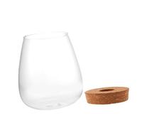 ORFOFE Hydroponic Plant Bottle Transparent Glass Terrarium DIY Micro Landscape Vase for Home Office Decoration Ecological Plant Container Desktop Ornament