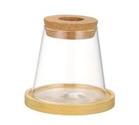 ORFOFE Hydroponic Propagation Station Glass Planter Vase for Indoor Plants Sturdy Desktop Plant Holder for Office and Bookshelf Minimalist Space Saving Design for Rooting and Growing